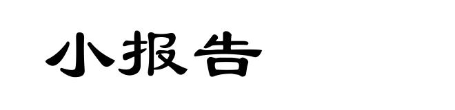 小报告