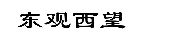 东观西望