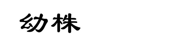 幼株