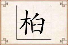 桕怎么写