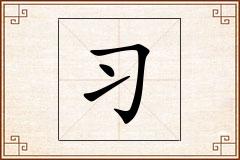习怎么写