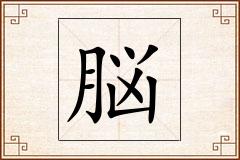 脳怎么写