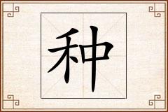 种怎么写