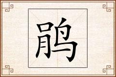 鹃怎么写