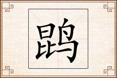 鹍怎么写