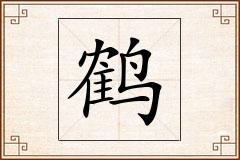 鹤怎么写