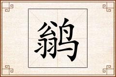 鹟怎么写