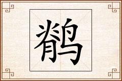 鹡怎么写