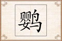 鹦怎么写