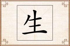 生怎么写