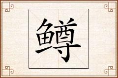 鳟怎么写