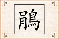 鵑怎么写