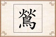 鶑怎么写