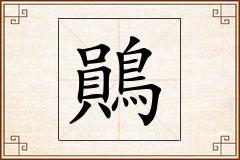 鶰怎么写