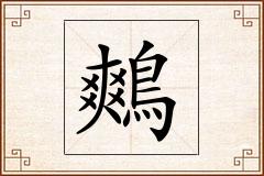 鷞怎么写