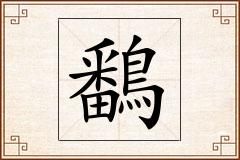 鷭怎么写
