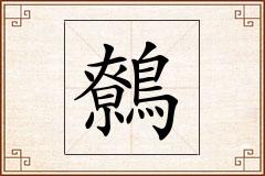 鷯怎么写