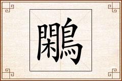 鷴怎么写