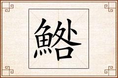 鯦怎么写