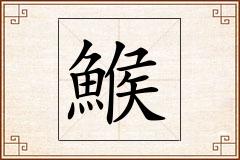 鯸怎么写