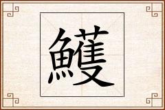 鱯怎么写