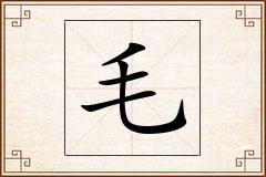 毛怎么写