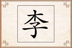 李怎么写