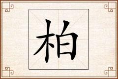 柏怎么写