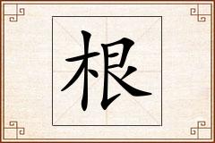 根怎么写