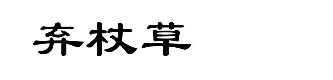 弃杖草