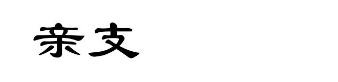 亲支