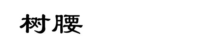 树腰