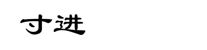 寸进