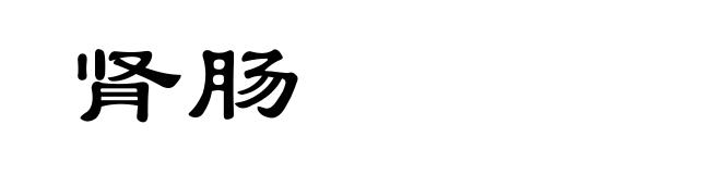 肾肠