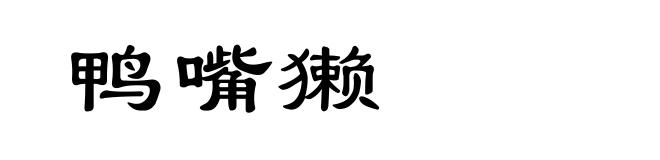 鸭嘴獭