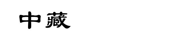 中藏