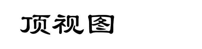 顶视图