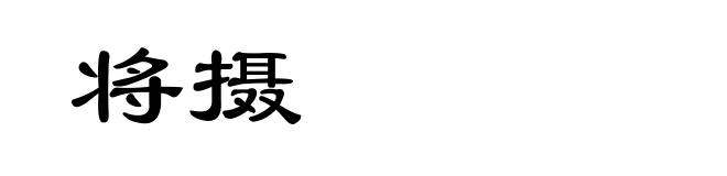 将摄