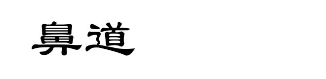 鼻道