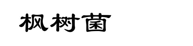 枫树菌